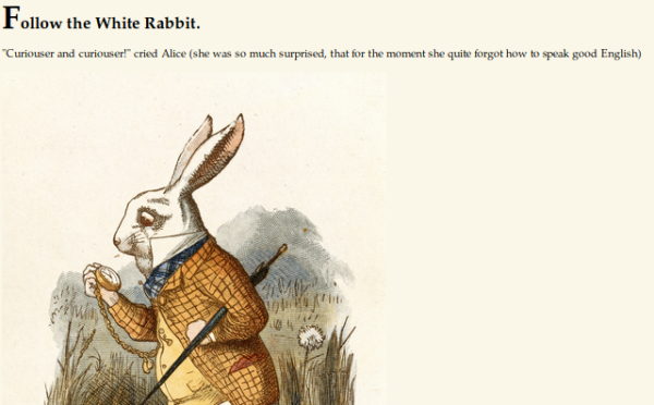 follow_the_rabbit