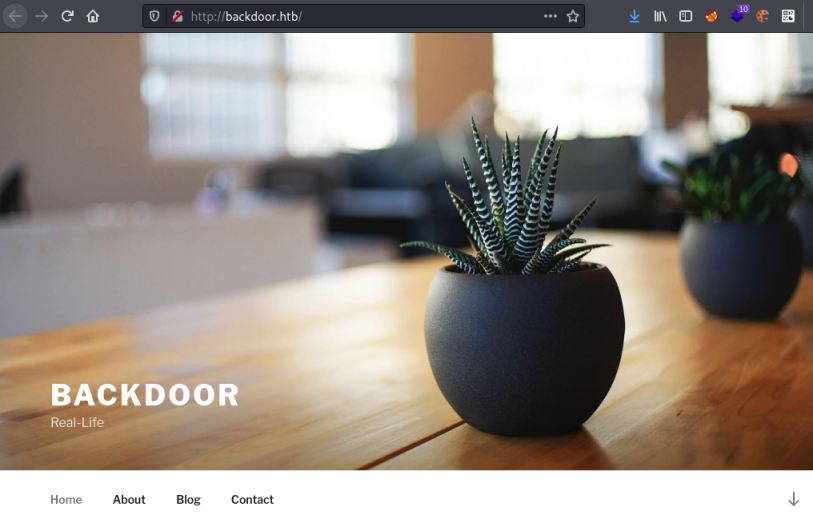 backdoor-website